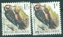 [Birds, type BNH]