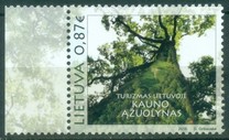 [Tourism - Oak Woods, type AHF]