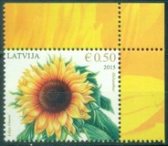 [Flowers - Sunflower, type AAI]