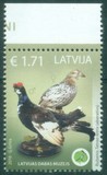 [Latvian Museum of Natural History Exhibit - Aberrant Birds, Tip ABR]