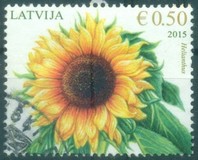 [Flowers - Sunflower, type AAI]