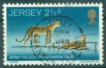 [Jersey Wildlife Preservation Trust, type AO]