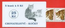 [Cats, Typ GT]