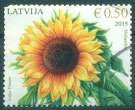 [Flowers - Sunflower, type AAI]
