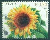 [Flowers - Sunflower, type AAI]