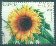 [Flowers - Sunflower, type AAI]