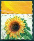 [Flowers - Sunflower, type AAI]