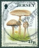 [Mushrooms, type WJ]