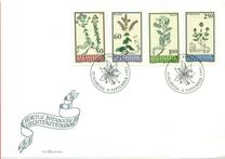 [Flora., tipo ALI]