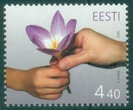 [Mothers Day, 類型 MW]
