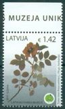[Flora - Latvian Museum of Natural History, වර්ගය ADA]