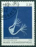 [Oceanographic Museum, Tipi CCZ]