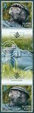 [Blue Ribbon, type NM]
