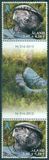 [Blue Ribbon, type NM]