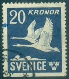 [Birds - Swans, type BW]