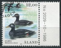 [Birds - Ducks, tegund Q]