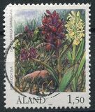 [Flora - Orchids, 유형 AB]