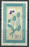 [Medicinal Plants, տեսակ ON]