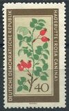 [Medicinal Plants, տեսակ OO]