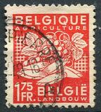 [National Industry, type NP]