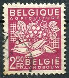 [National Industry - New values, tyyppi NP1]