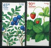 [Wild Berries, type AFX]