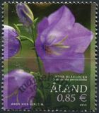 [Flowers - Peach-Leaved Bellflower, tip OJ]