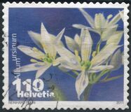 [Flora - flowering Plants - Self Adhesive Stamps, type CGD]