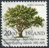 [The 100th Anniversary of the Horticutural Society, տեսակ OP]