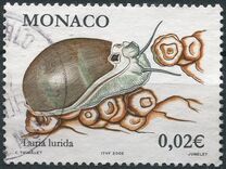 [Flora and Fauna of the Mediterranean, type CVK]
