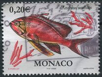 [Flora and Fauna of the Mediterranean, type CVN]