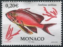 [Flora and Fauna of the Mediterranean, type CVN]