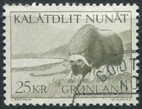 [Musk Ox, 類型 AI]