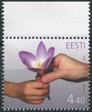 [Mothers Day, 類型 MW]