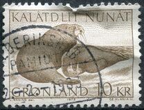 [Walruses, type AR]