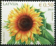 [Flowers - Sunflower, type AAI]
