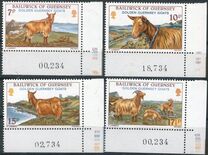 [Golden Guernsey Goats, نوع GE]