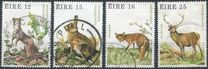 [Game Animals, type GS]