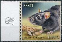 [Fauna - The Black Rat, type BDJ]