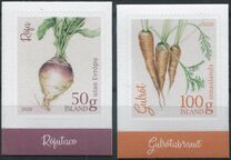 [Icelandic Garden Vegetables, type AYI]