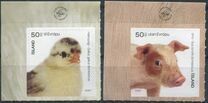[The Young of Iceland‘s Domestic Animals, type AYC]