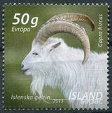 [SEPAC Issue - Animals, Icelandic Settlement Goat, Tip AQN]