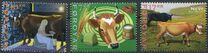 [Fauna - Cattles, type AJY]