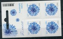 [Cornflower, type BDU]