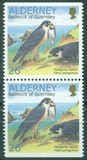 [Birds - The Peregrine Falcon, type EP]