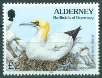 [Flora and Fauna, տեսակ CD]