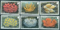 [Marine Life - Squirts and Sponges, ประเภท BEM]