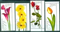 [Flowers, type AFG]
