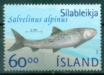 [Fish - Trouts in Lake Thingvellir, type ACJ]