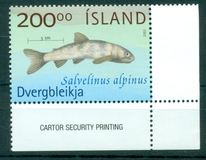 [Fish - Trouts in Lake Thingvellir, type ACL]